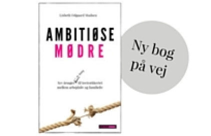 Ambitiøse Mødre bog